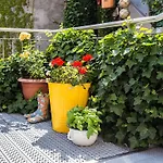 Greifennest Hotel Rostock