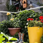 Greifennest 2*