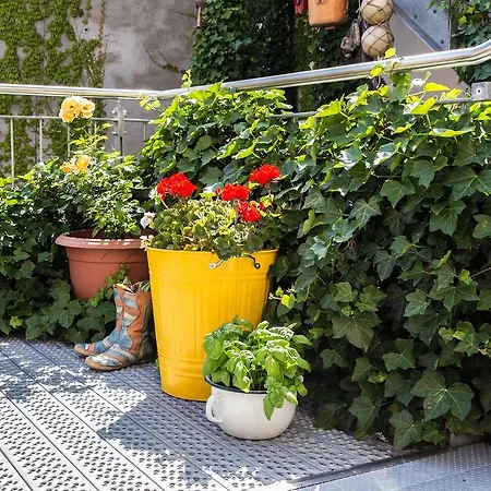 Greifennest Szálloda Rostock