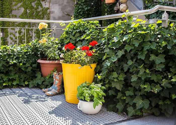 Greifennest Hotel Rostock